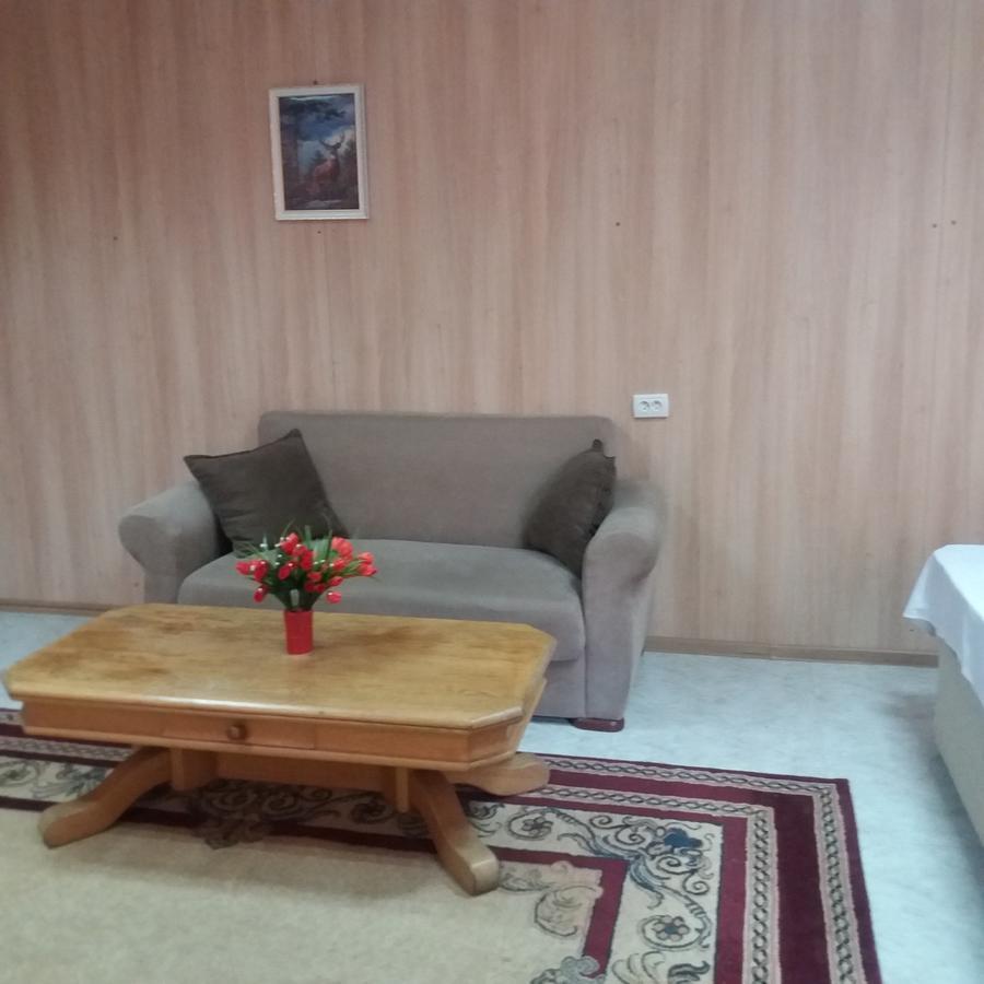 Hostel Anna Bordžomi Exteriér fotografie